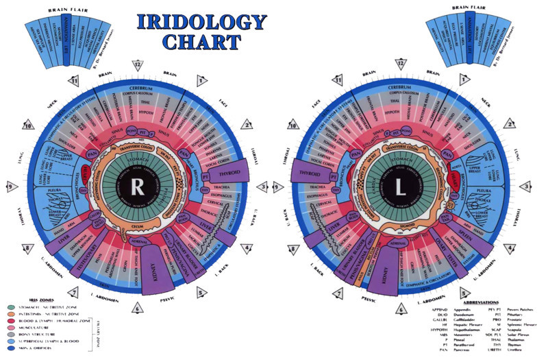 What Is Iridology Chart